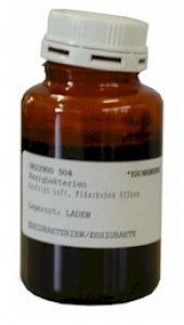 Essigbakterien3